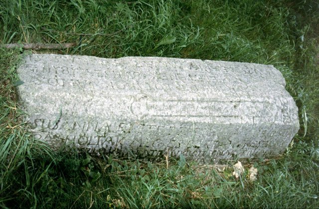 Csikdelne_sirko2