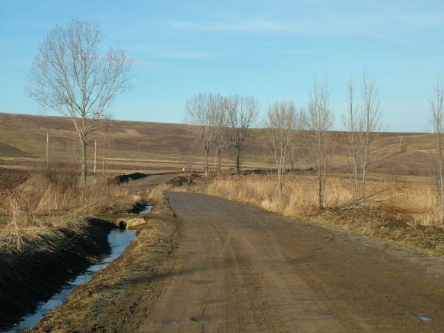 Kalotadamosi_ut2
