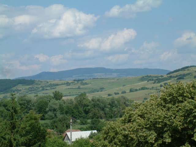 Nyaradszentmartoni_taj