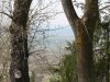 P1010564