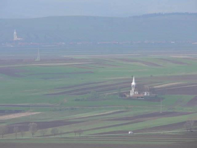 P1010567