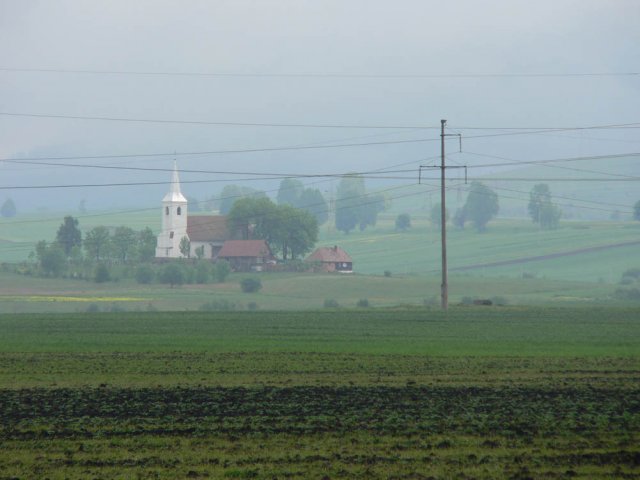 P1010776.jpg