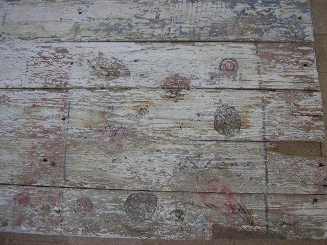 SANY0027